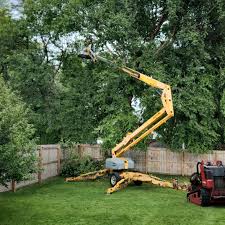 Artificial Turf Installation in Doolittle, TX